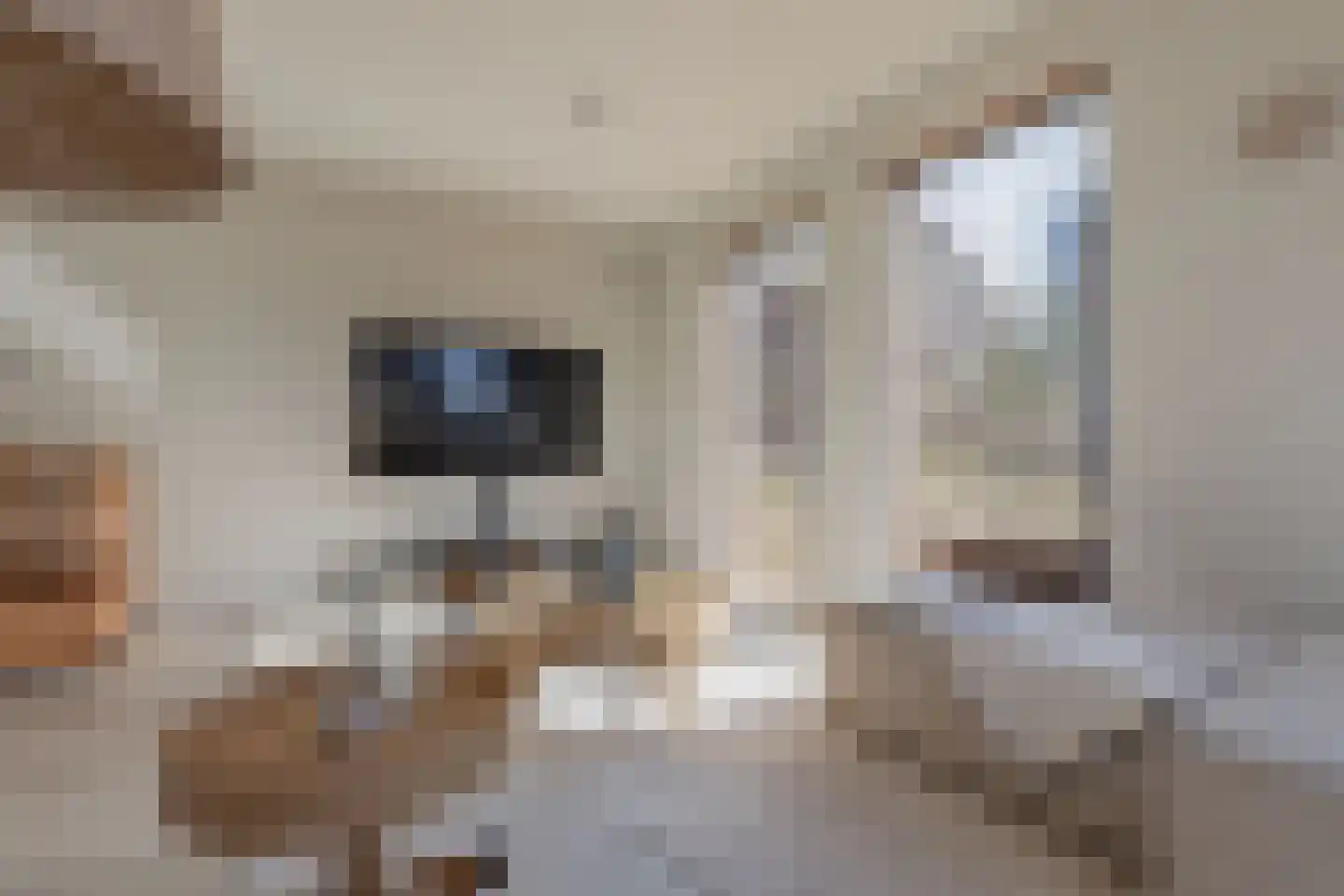 Jufferlaan 8 Blaricum thumbnail 11