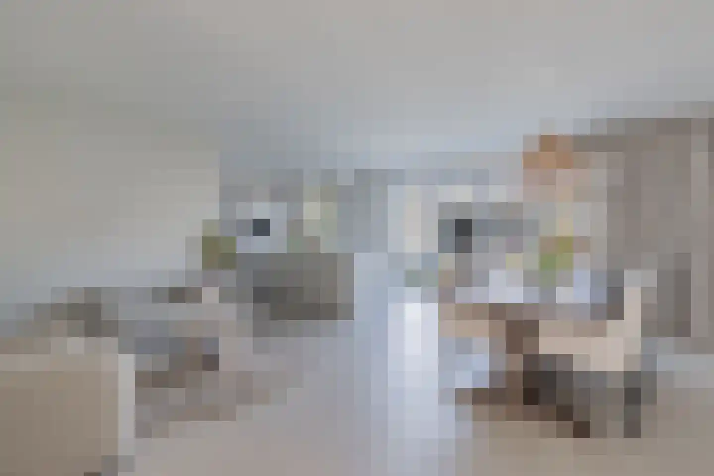 Jufferlaan 8 Blaricum thumbnail 14
