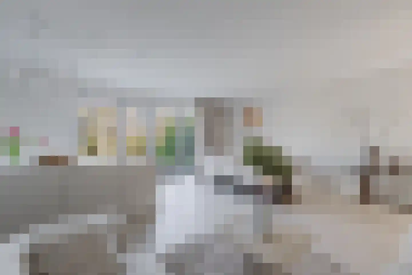 Jufferlaan 8 Blaricum thumbnail 16