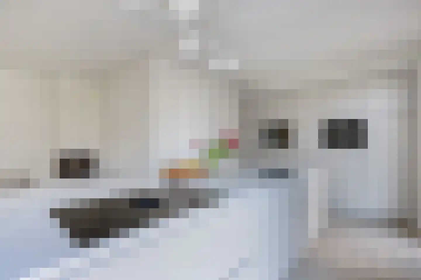 Jufferlaan 8 Blaricum thumbnail 22