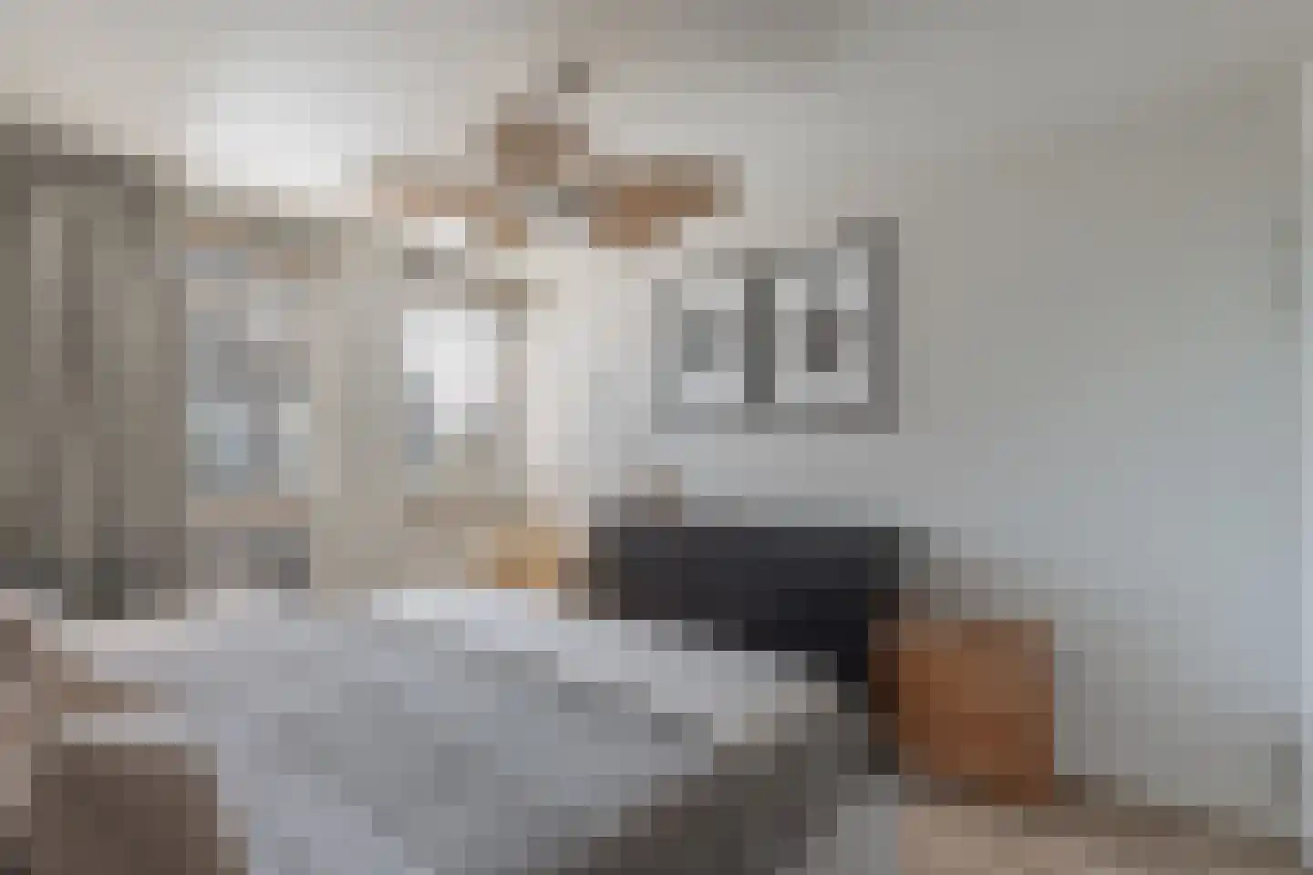 Jufferlaan 8 Blaricum thumbnail 29