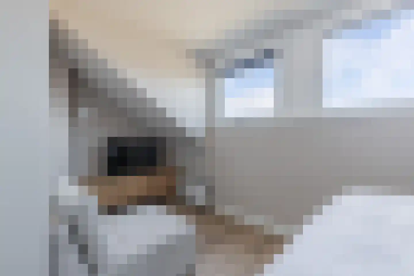 Jufferlaan 8 Blaricum thumbnail 42
