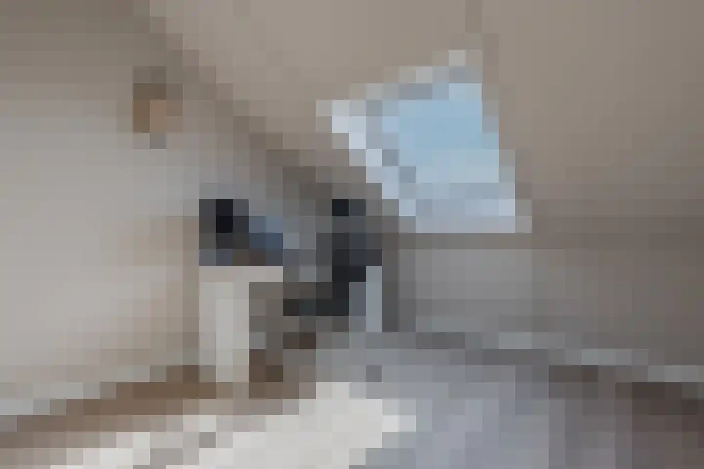 Jufferlaan 8 Blaricum thumbnail 44