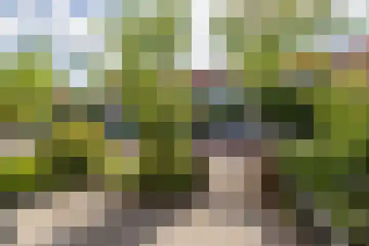 Juffermansstraat 11 Oegstgeest thumbnail 4