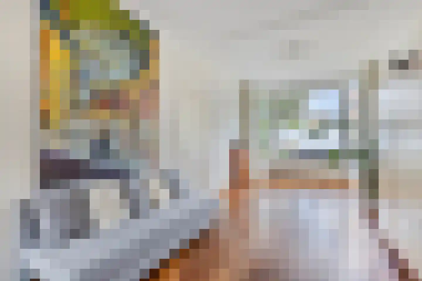 Juffermansstraat 28 Oegstgeest thumbnail 14