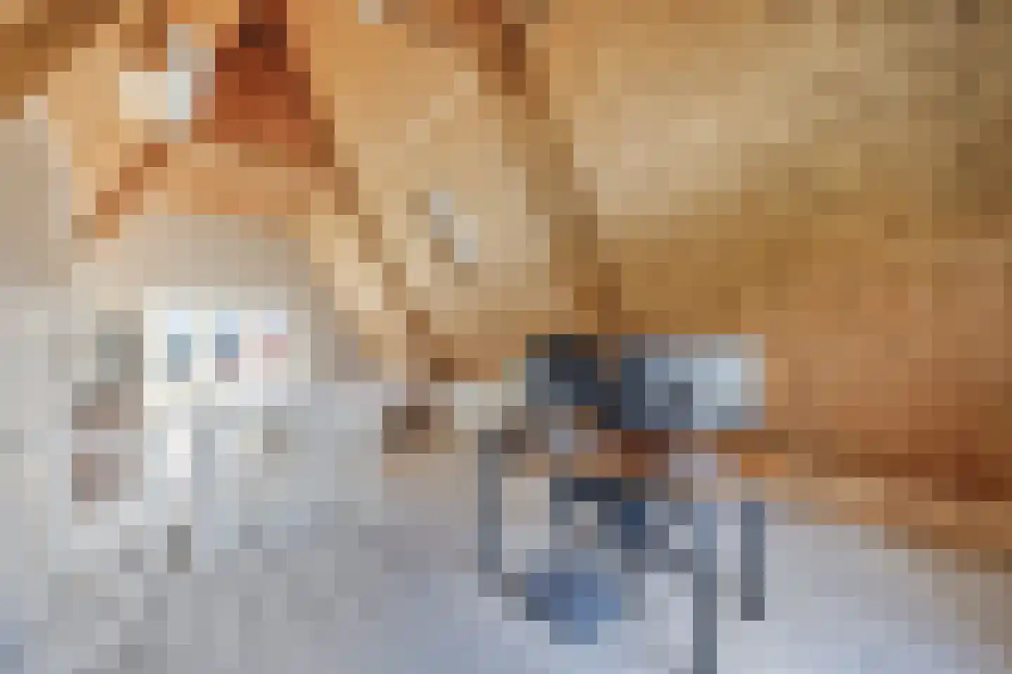 Juffermansstraat 28 Oegstgeest thumbnail 4