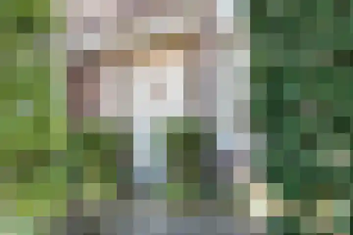 Juffermansstraat 40 Oegstgeest thumbnail 8