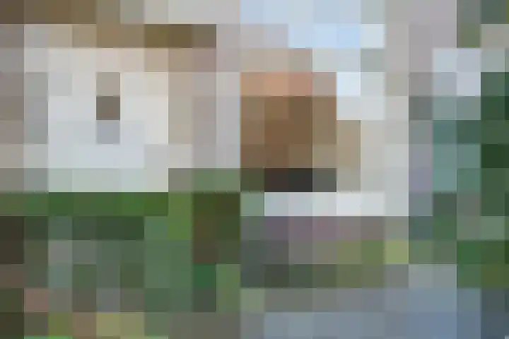 Juffermansstraat 40 Oegstgeest thumbnail 9