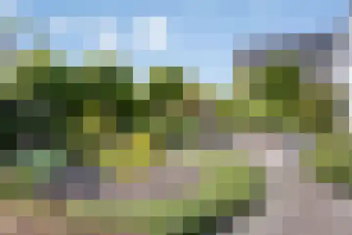Jufferpad 58 Haren Gn thumbnail 5