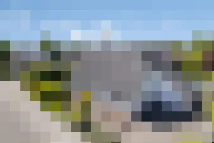 Jufferpad 58 Haren Gn thumbnail 8