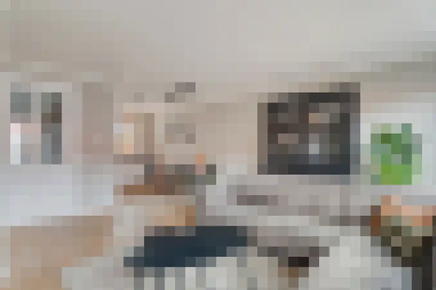 Juffersgoed 10 Elspeet thumbnail 14