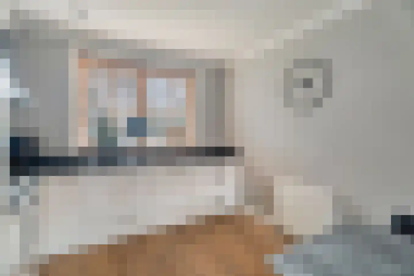 Juffersgoed 10 Elspeet thumbnail 17
