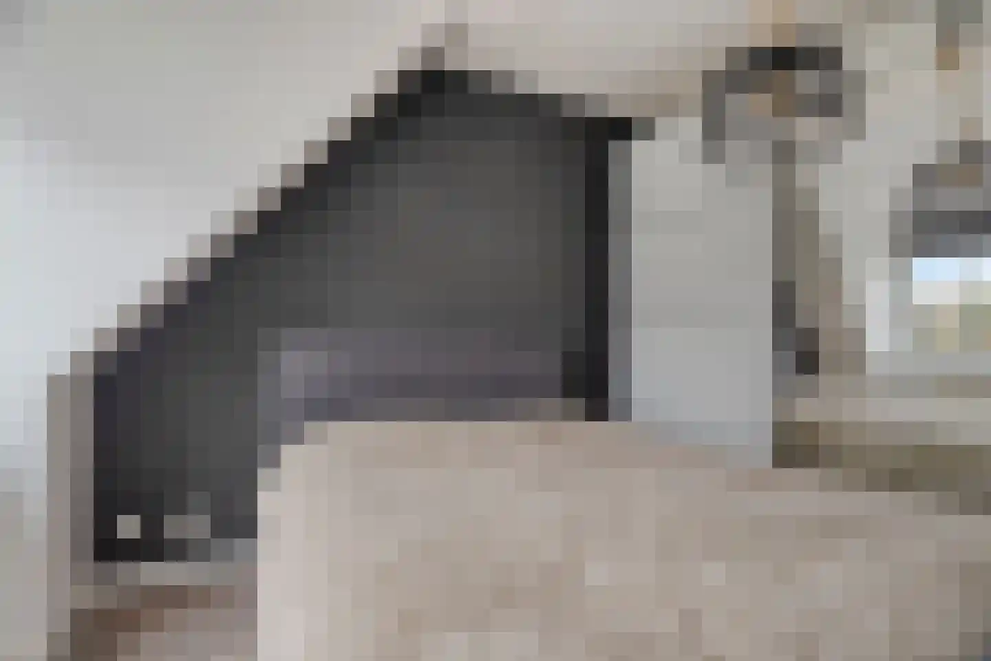 Juffersgoed 10 Elspeet thumbnail 21