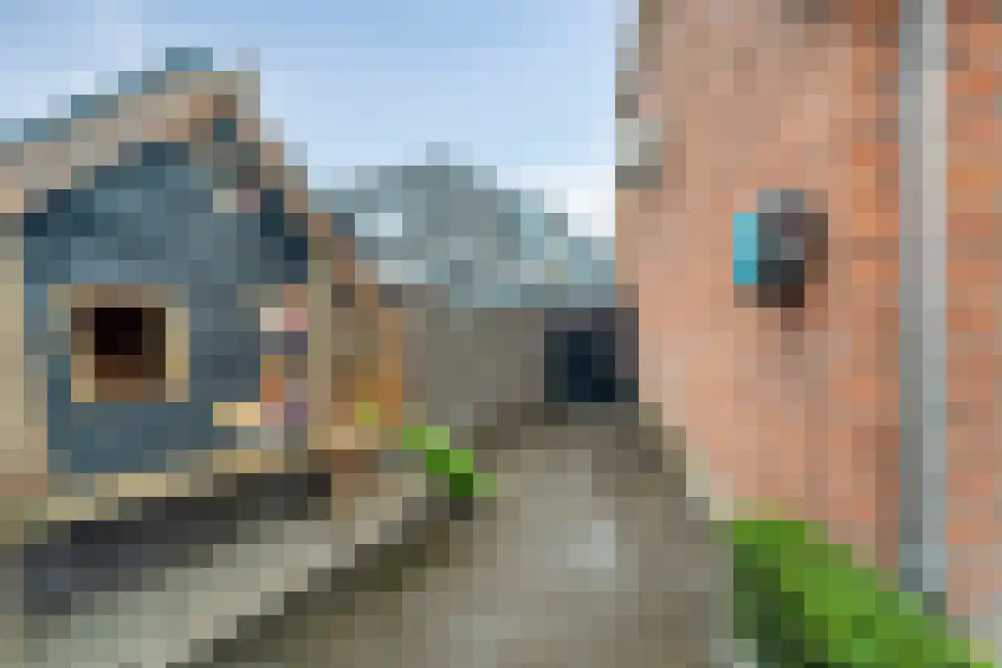 Juffersgoed 10 Elspeet thumbnail 27