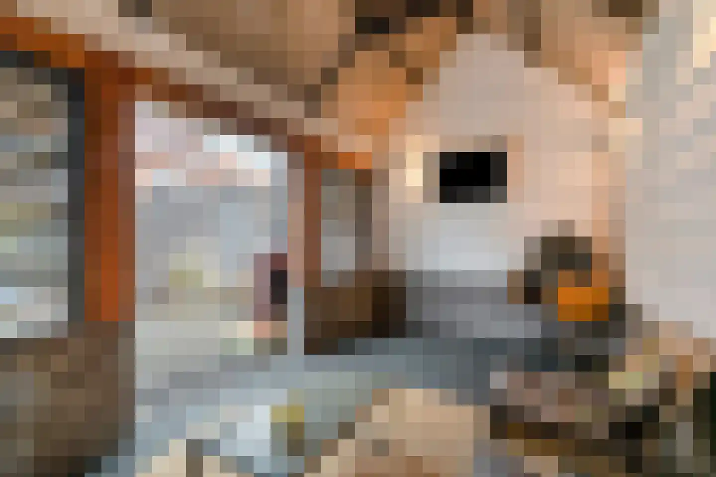 Juffersgoed 10 Elspeet thumbnail 31