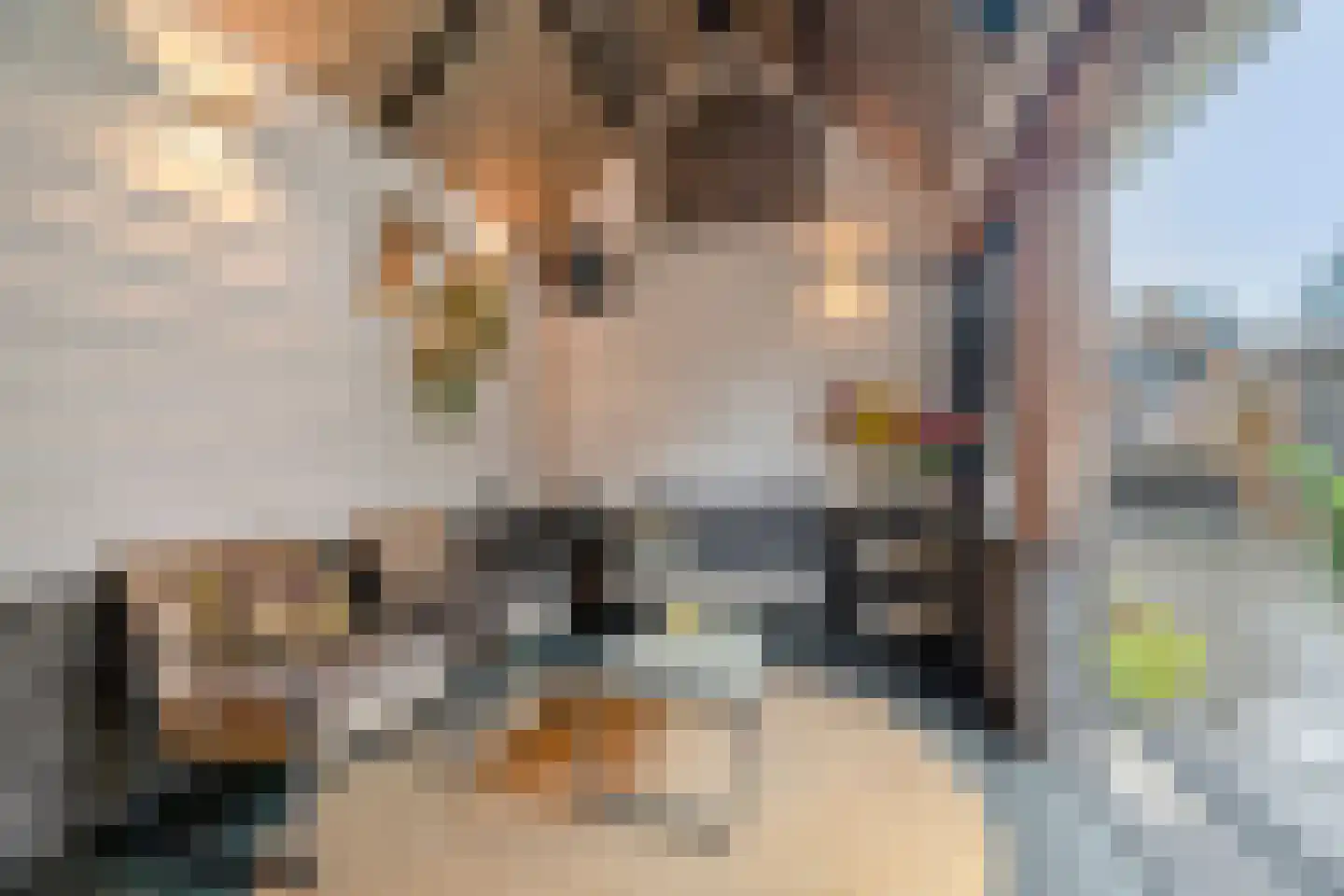 Juffersgoed 10 Elspeet thumbnail 32