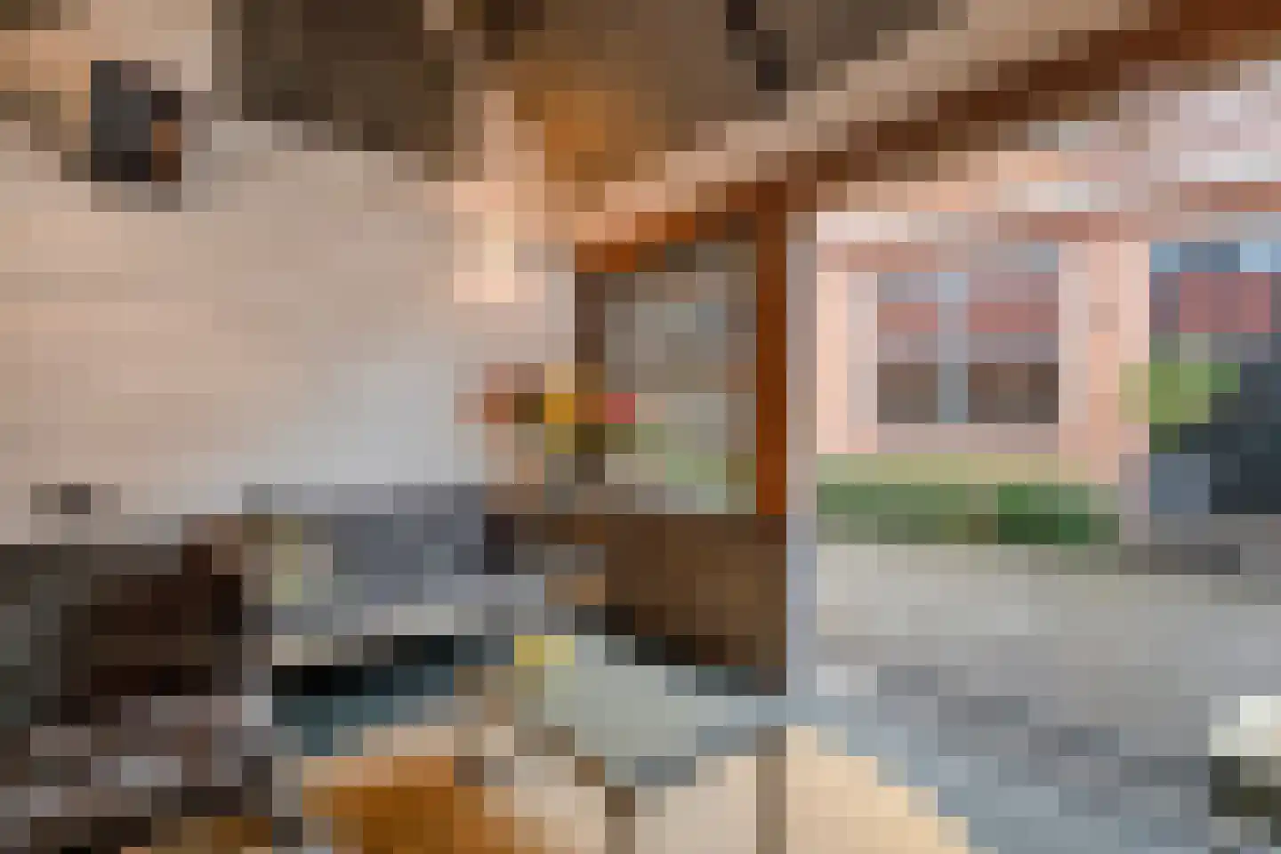 Juffersgoed 10 Elspeet thumbnail 33