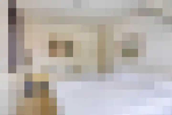 Juffersland 78 Leersum thumbnail 13