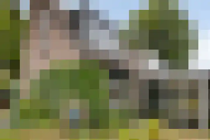 Juffersland 78 Leersum thumbnail 17