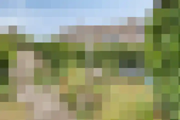 Juffersland 78 Leersum thumbnail 18