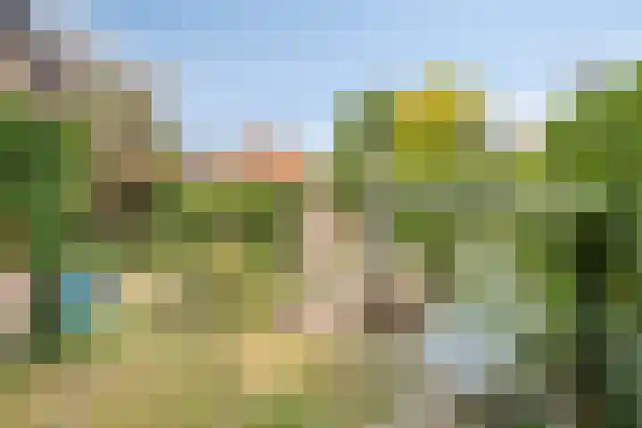 Juffersland 78 Leersum thumbnail 19