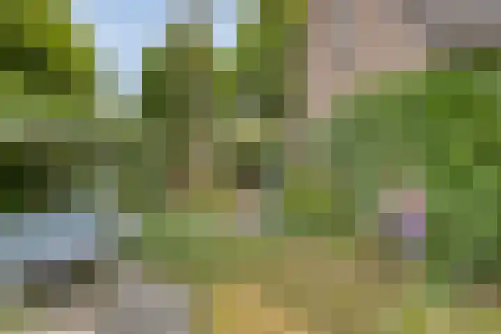 Juffersland 78 Leersum thumbnail 20