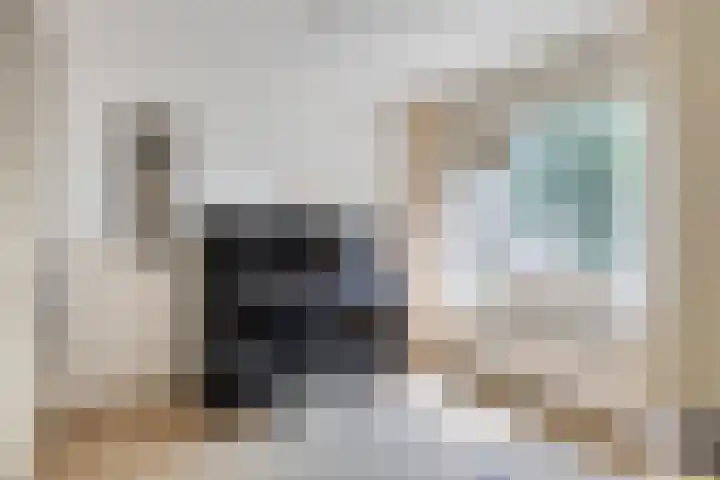 Juffersland 78 Leersum thumbnail 9