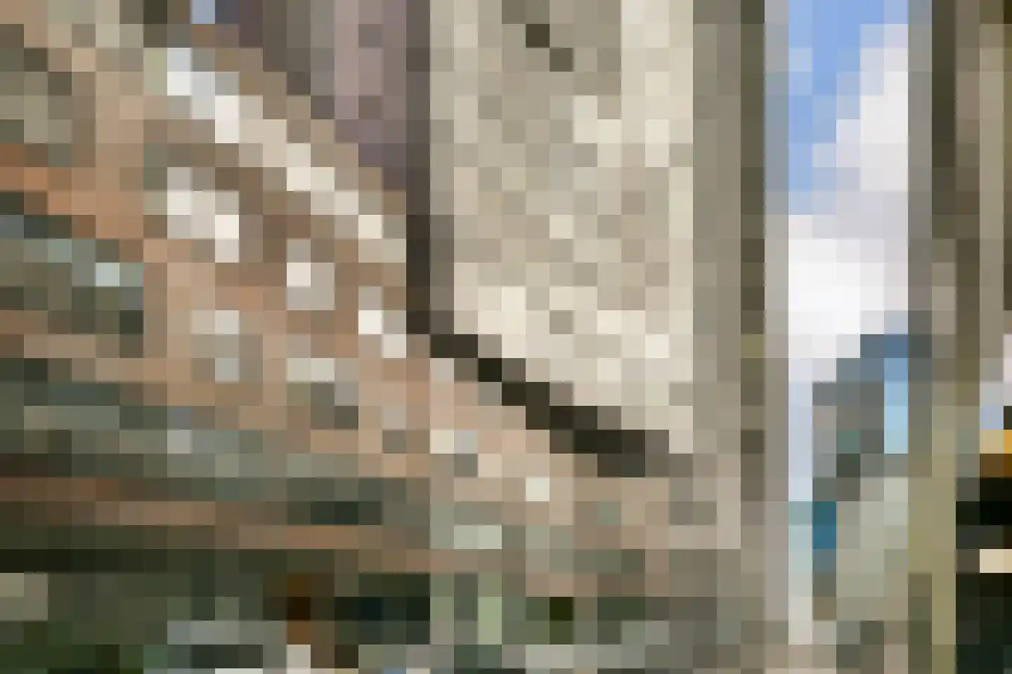 Jufferstraat 106 Rotterdam thumbnail 22