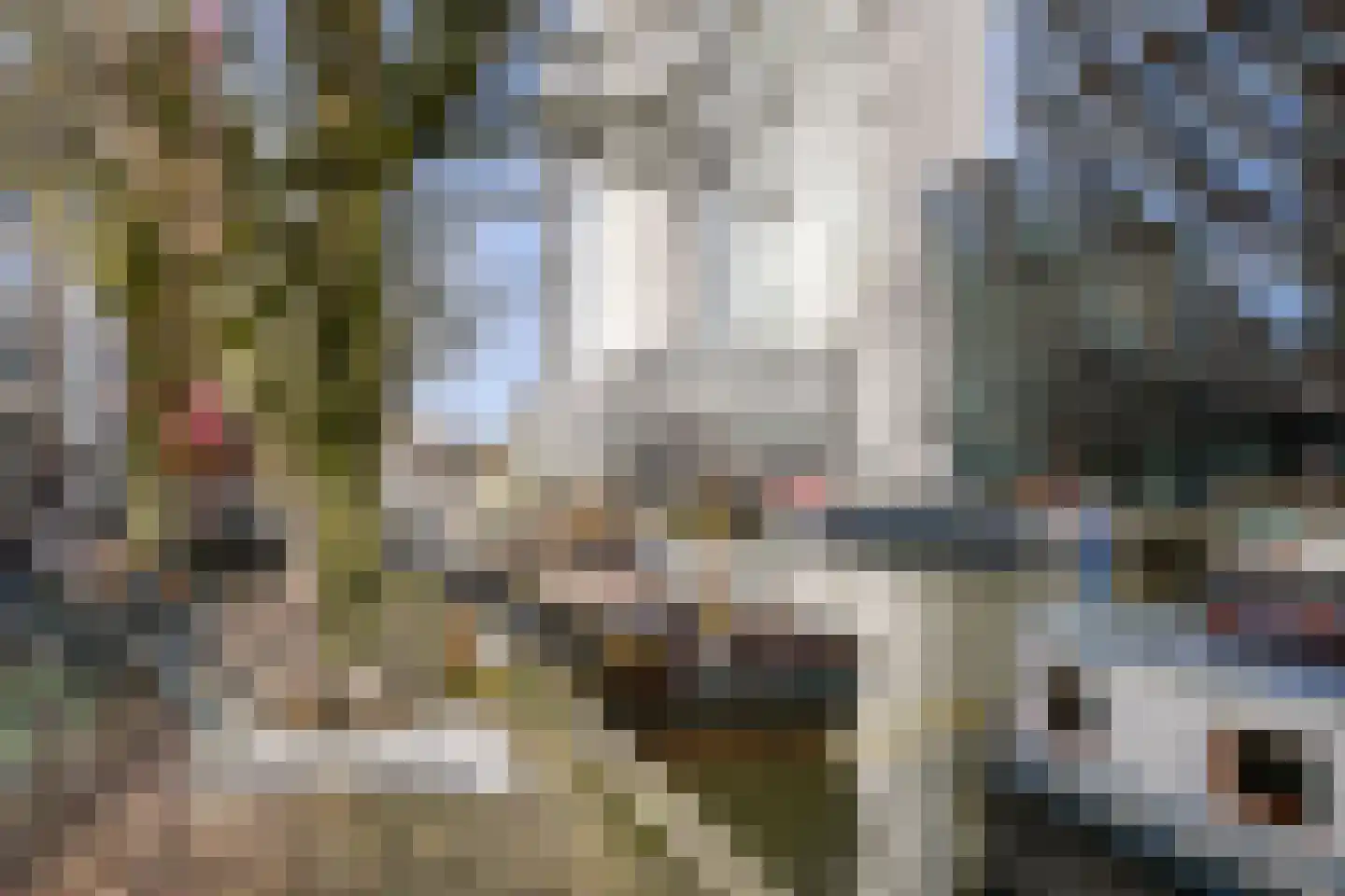 Jufferstraat 106 Rotterdam thumbnail 24