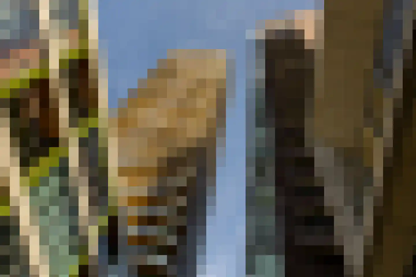 Jufferstraat 21 D Rotterdam thumbnail 38