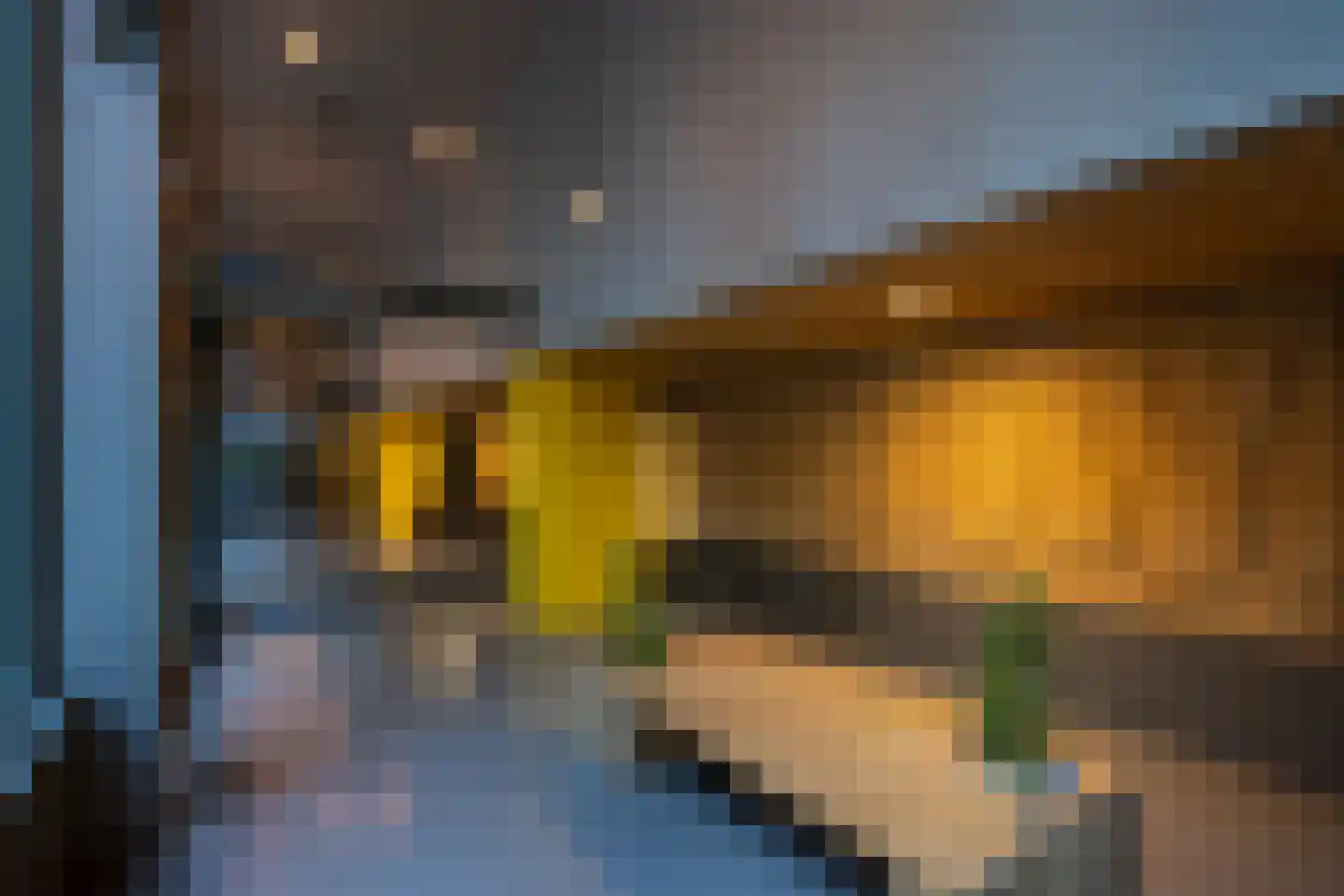 Jufferstraat 21 X Rotterdam thumbnail 38