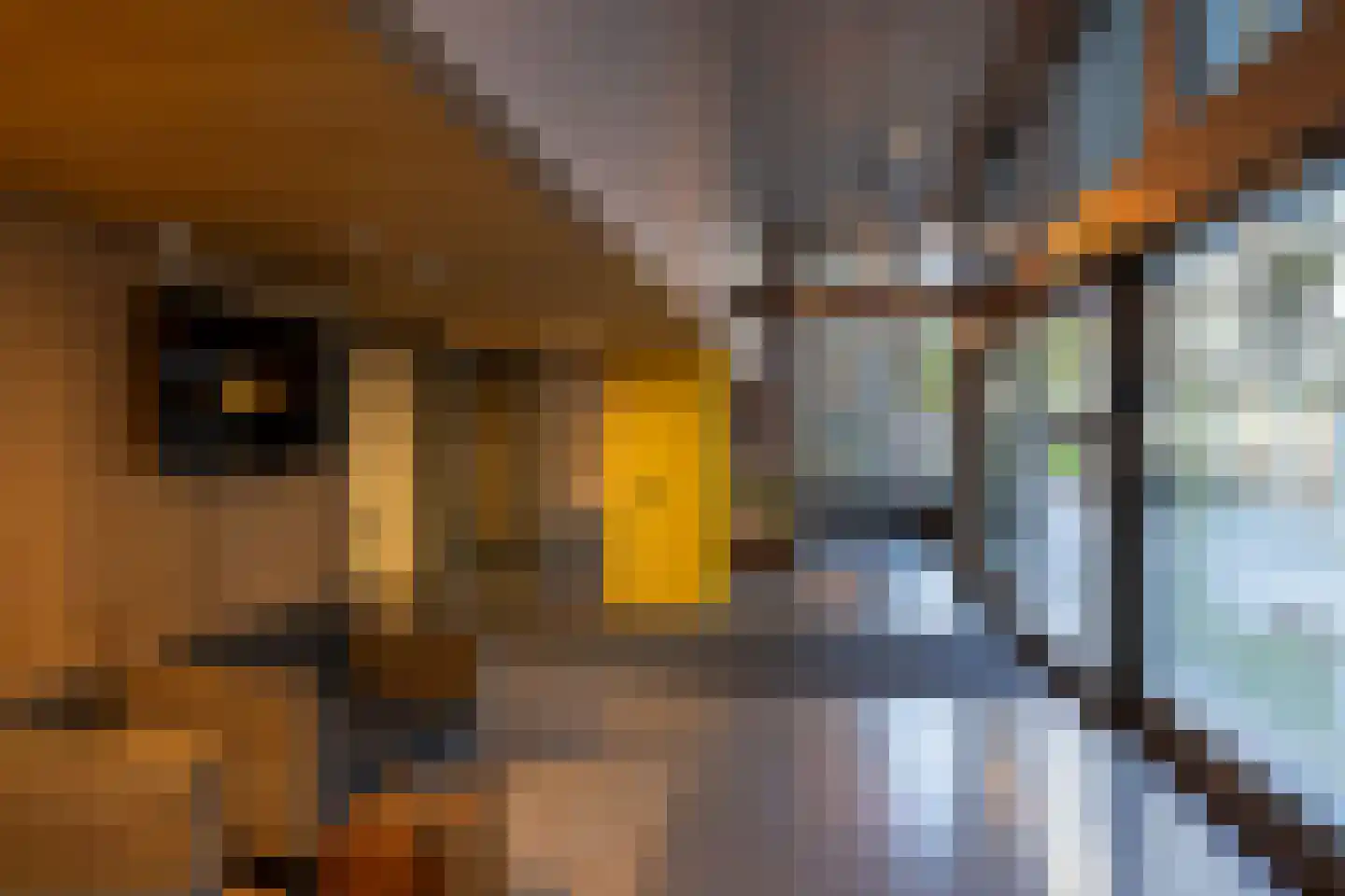Jufferstraat 21 X Rotterdam thumbnail 39