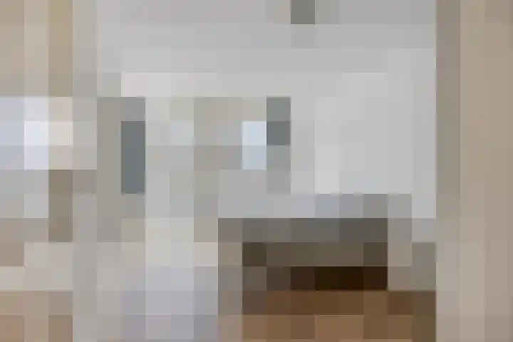 Jufferstraat 212 Rotterdam thumbnail 4