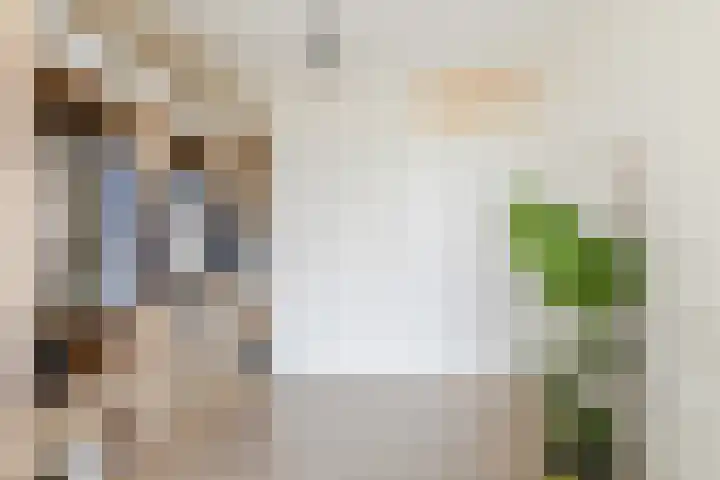 Jufferstraat 224 Rotterdam thumbnail 23