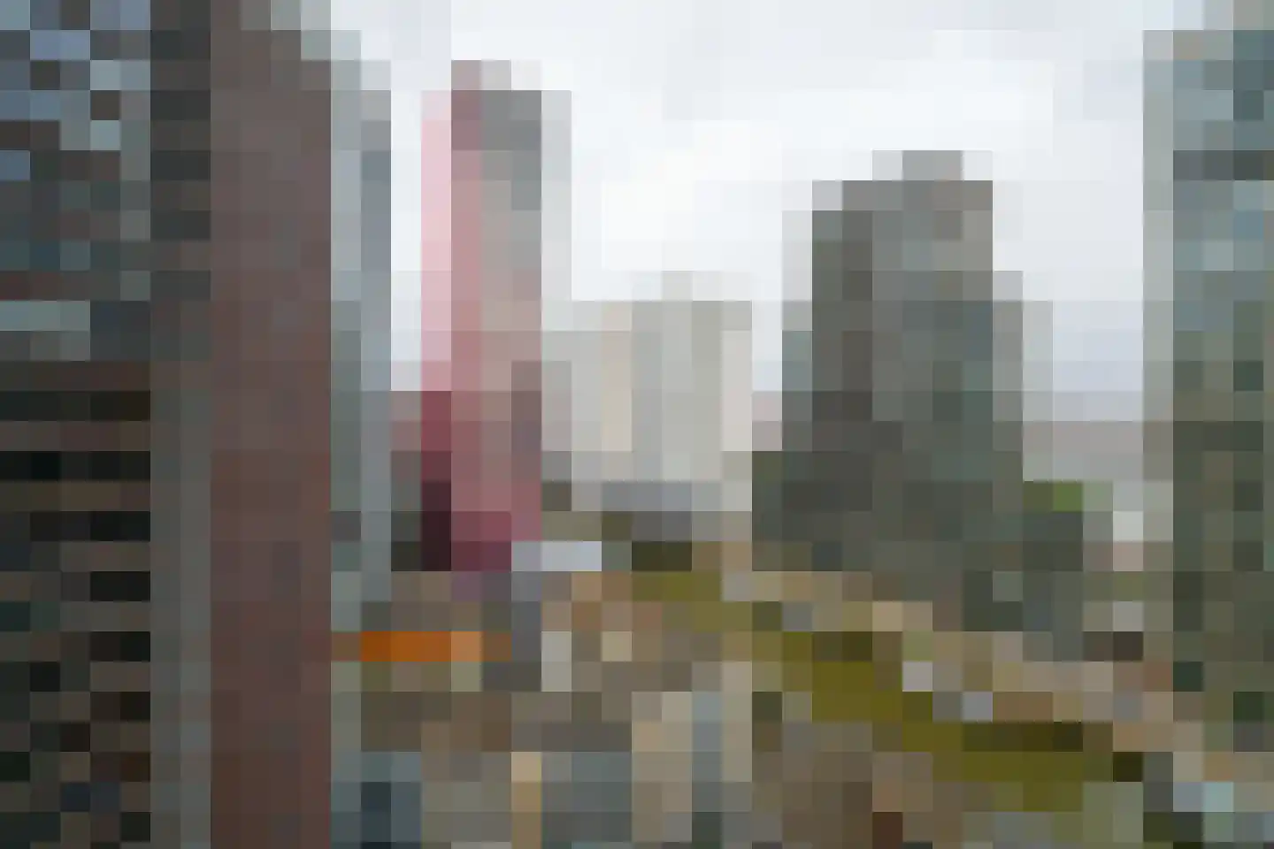 Jufferstraat 228 Rotterdam thumbnail 28