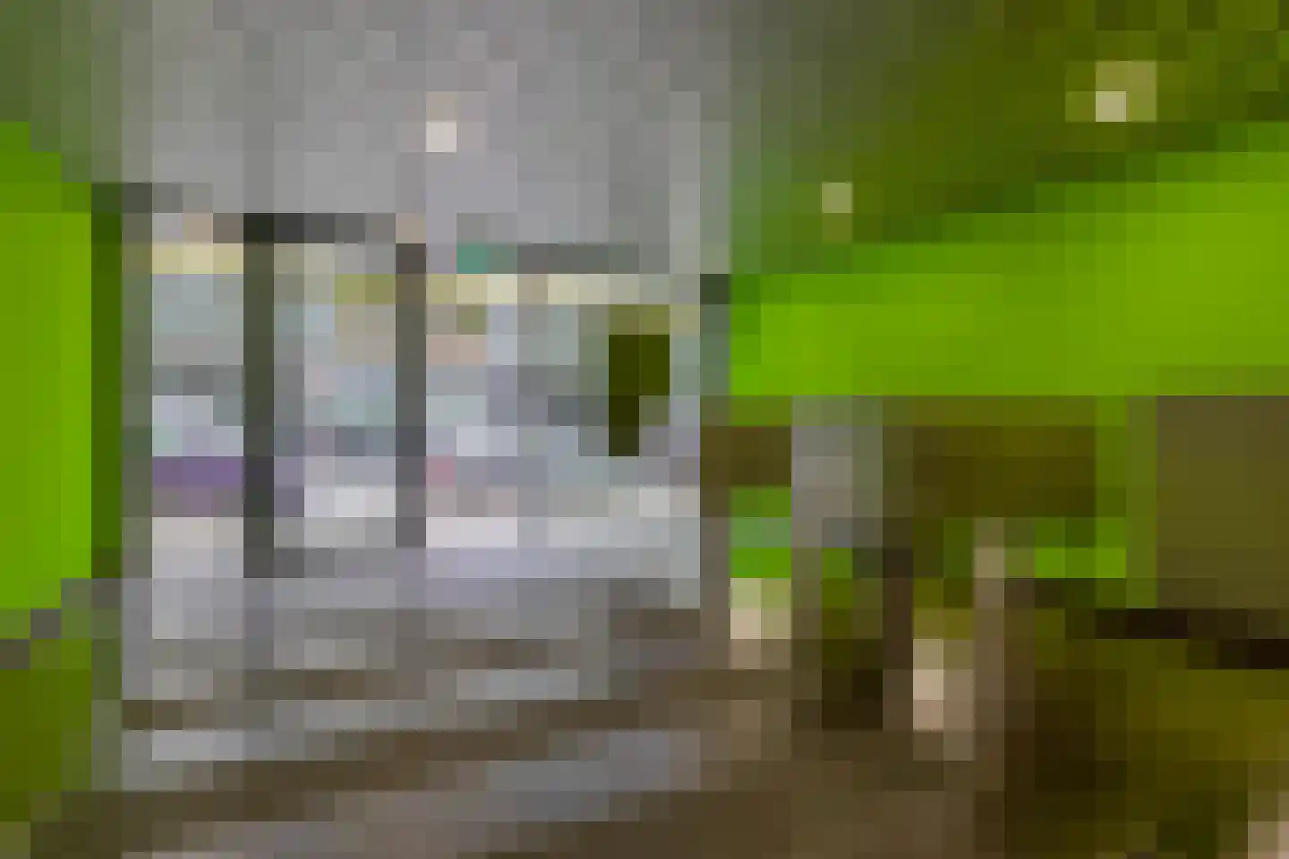 Jufferstraat 242 Rotterdam thumbnail 6