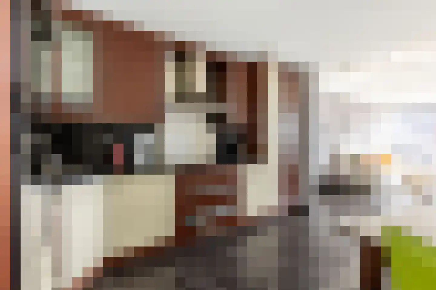 Jufferstraat 300 Rotterdam thumbnail 14