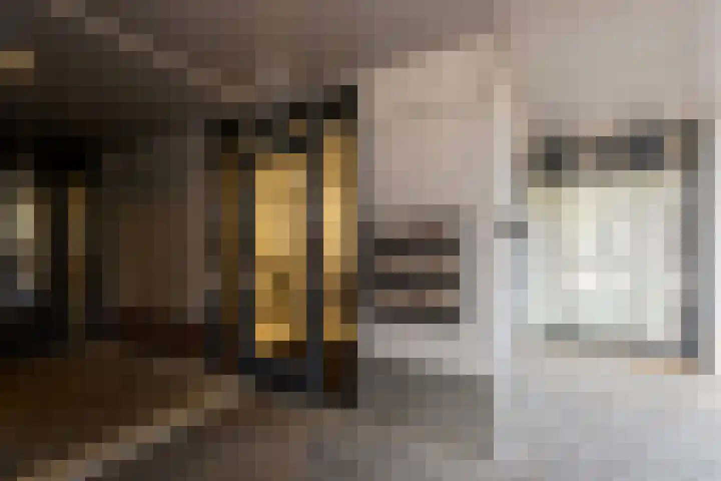 Jufferstraat 74 Zeist thumbnail 12