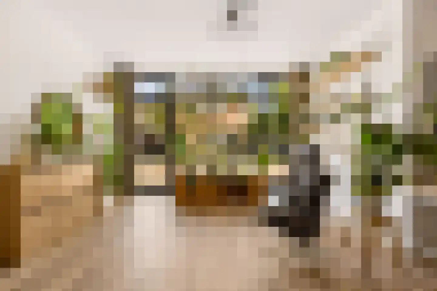 Jufferstraat 74 Zeist thumbnail 18