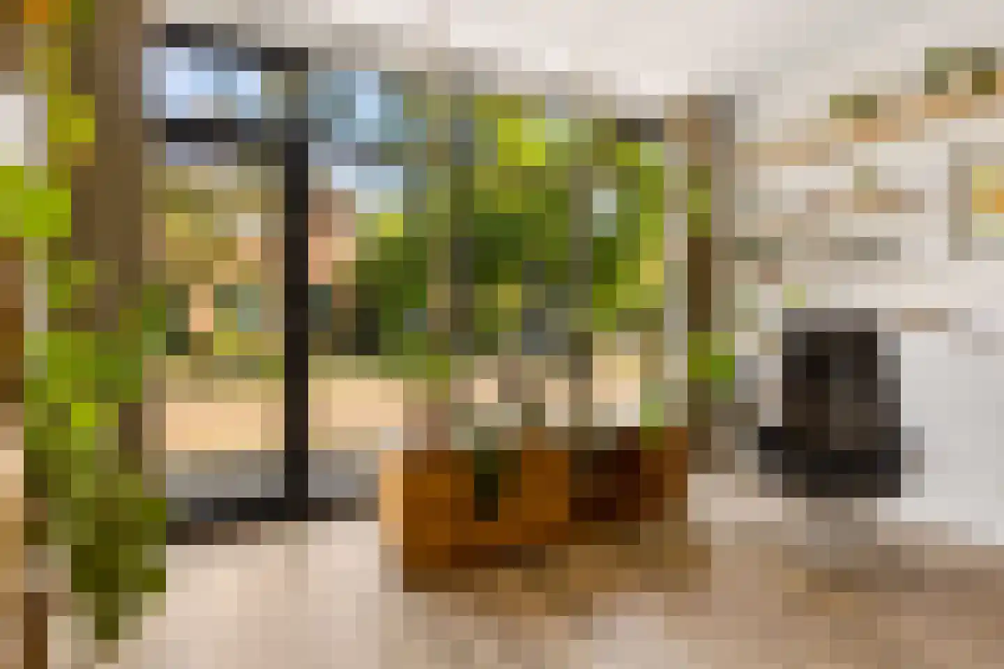 Jufferstraat 74 Zeist thumbnail 20