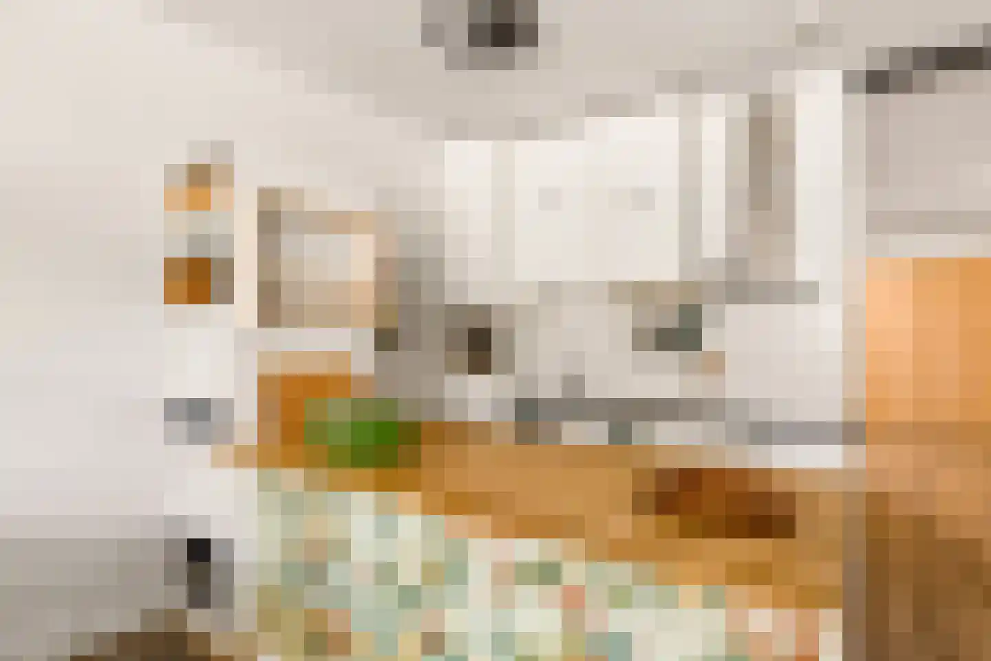 Jufferstraat 74 Zeist thumbnail 22