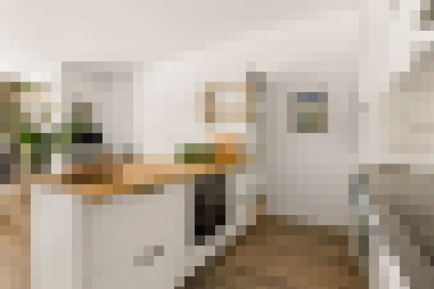 Jufferstraat 74 Zeist thumbnail 4