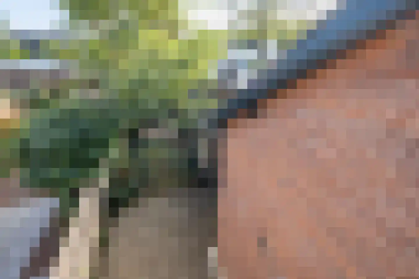 Jufferstraat 9 Zeist thumbnail 20