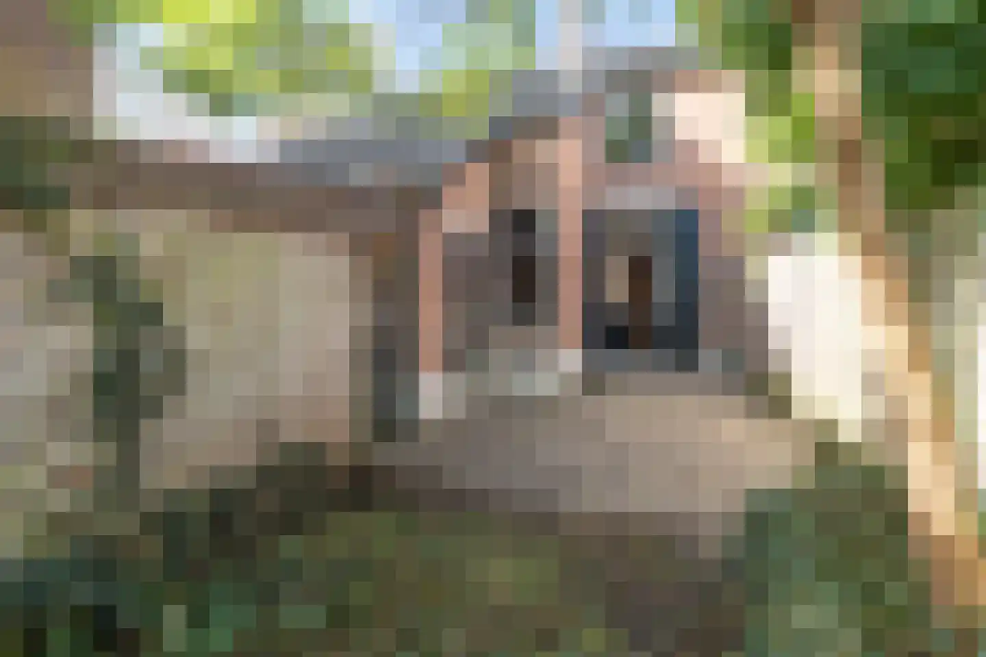 Jufferstraat 9 Zeist thumbnail 37