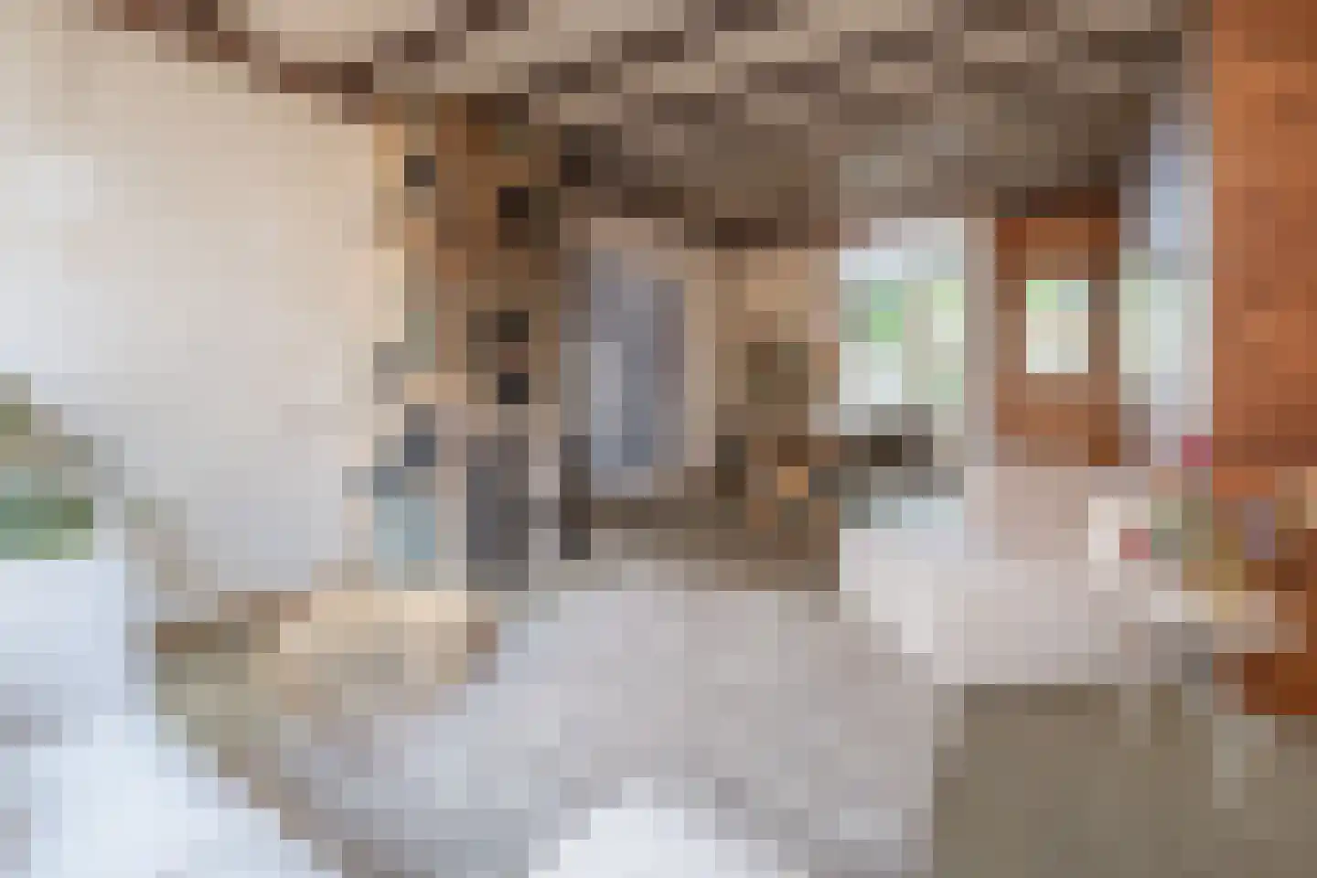 Jufferstraat 9 Zeist thumbnail 6