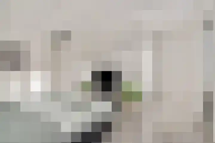 Jufferswaard 15 Ede thumbnail 18
