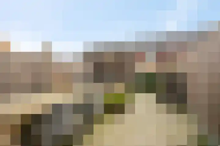 Jufferswaard 15 Ede thumbnail 30