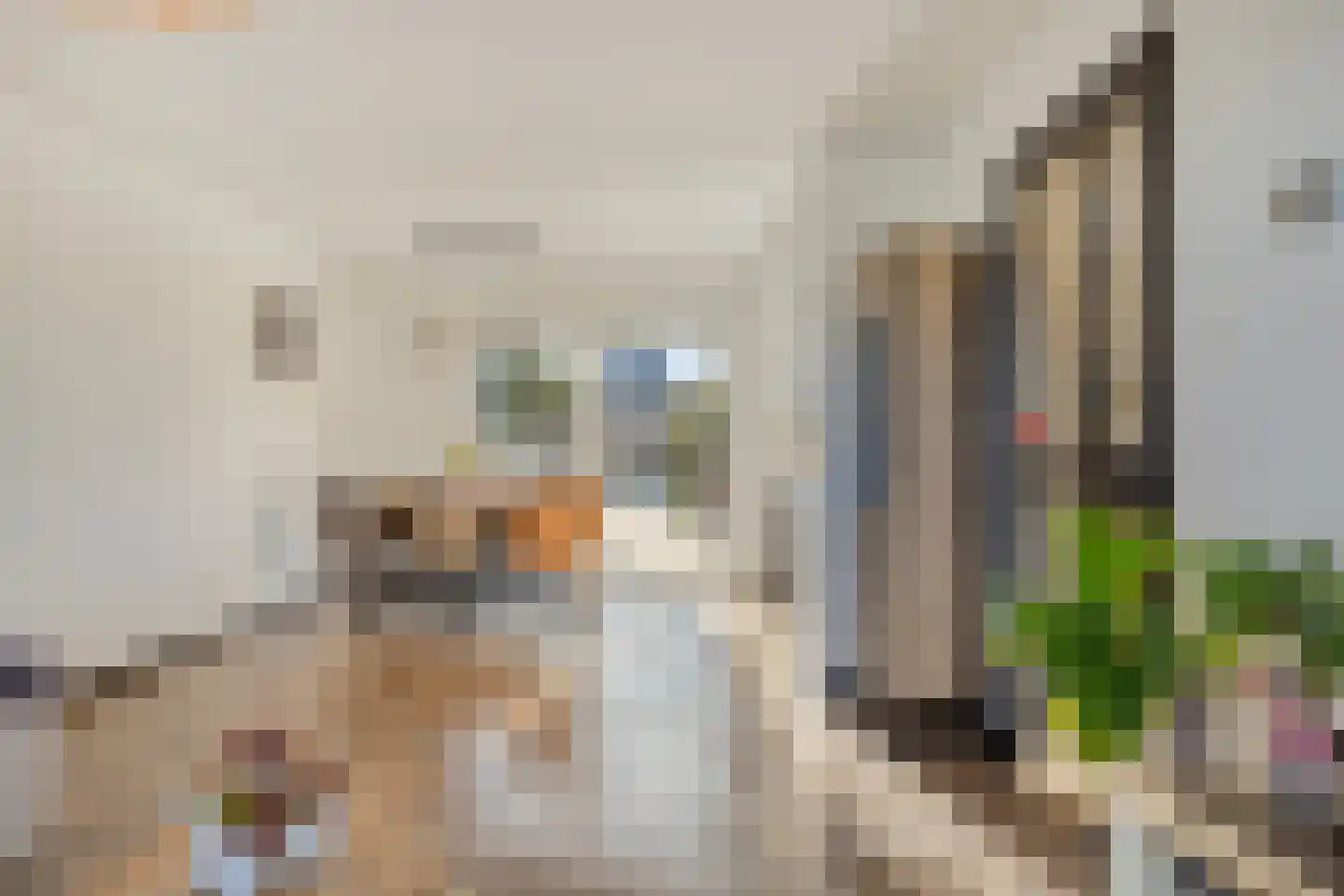 Jufferswegje 15 Kapelle thumbnail 13