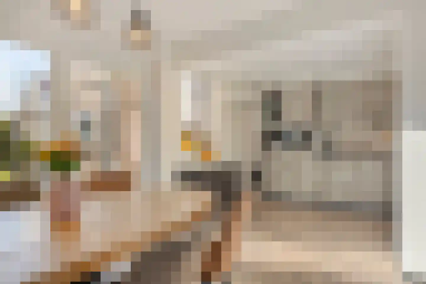 Jufferswegje 15 Kapelle thumbnail 16