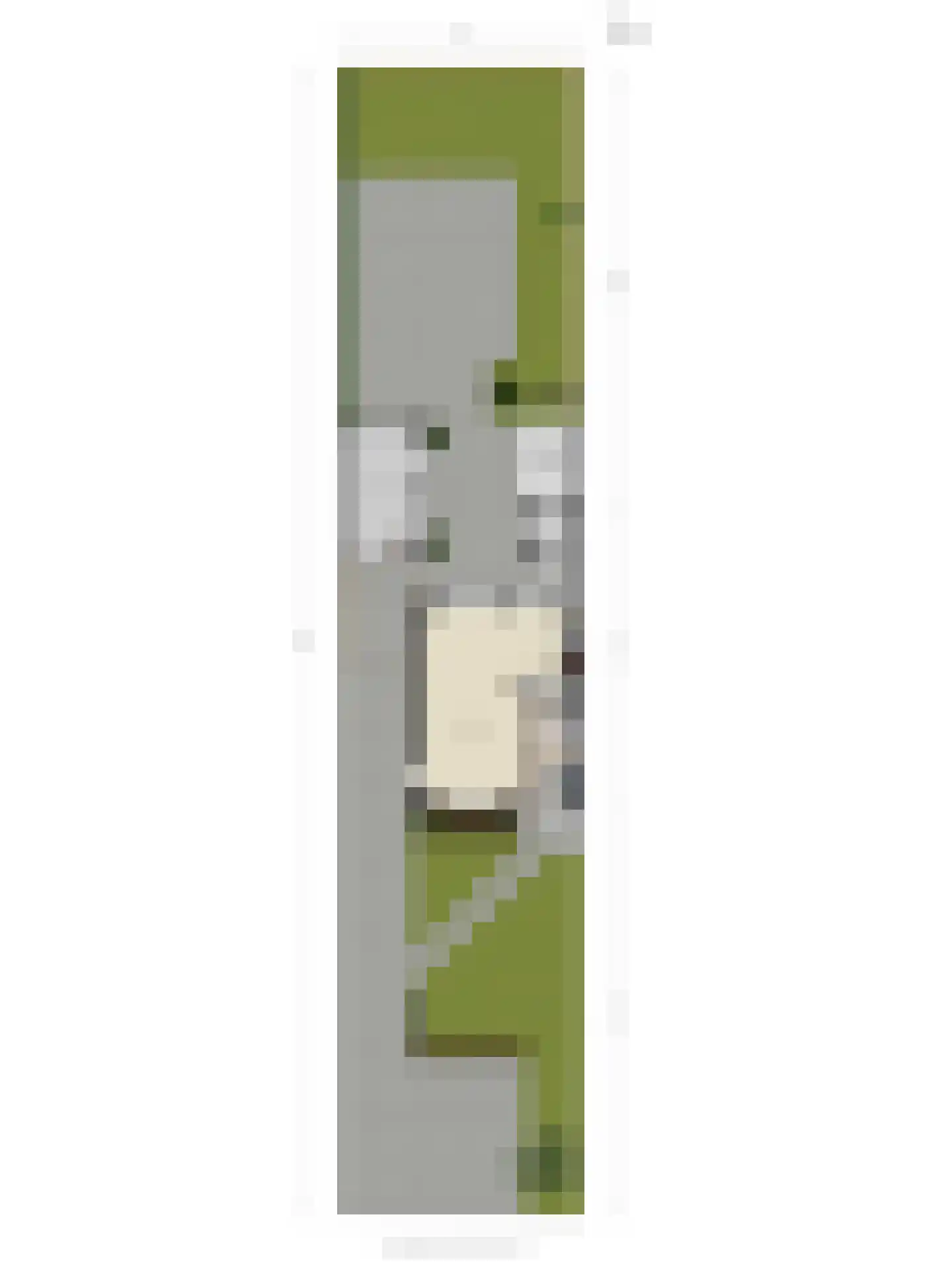 Jufferswegje 15 Kapelle thumbnail 4